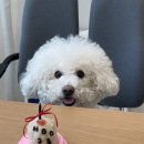 후에이트디스케이크 이미지