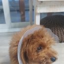 구평동물병원 이미지