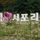진리해변 Daum카페