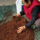 연리지농장 이미지