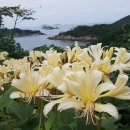 06월27일 (토) 정기 산행 안내 - 부안 위도 망월봉~파장봉 - 이미지