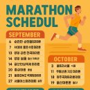 제17회 순천시장배 수영대회 | 🏃‍♂️2025년 하반기 전국 마라톤 일정 총정리!