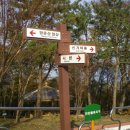 망운산 등산로 이미지