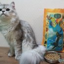 (주)산시아코리아 이미지