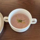 오퍼스(OPUS) 이미지