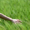 김선규농장 이미지