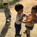 참새놀이터