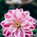 강산슈퍼 이미지