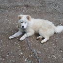 울산농장 이미지