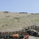 바다나라민박 이미지