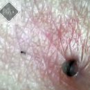 델라헤어스튜디오 이미지