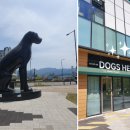 하트애견미용실 이미지