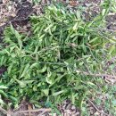 진표농장 이미지