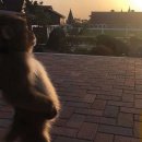 두배로마트 이미지