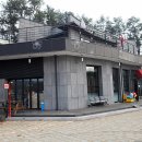 캐리비안캠프 티스토리