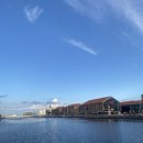 27200-가-69 | [프랑스 여행] 모네의 정원 지베르니 당일치기 자유여행(지베르니 꼬마기차, 모네의 집, 프랑스 고양이...