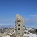 오대산 달빛 이미지