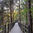 천사장묘 - 서산시 관아문길 34 | 천사장묘