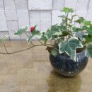 초민의원 이미지