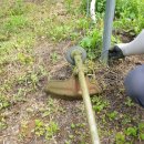 다래농장2 이미지