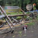 도봉-도봉-서울도봉-2123 이미지