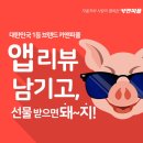 내차처럼 세차앤 광택 이미지