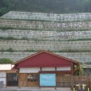 별빛품은 바다 이미지