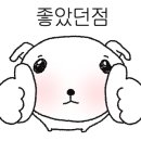 프로페셔널 보컬코치JOE