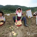 한창종합식품 연합뉴스