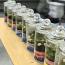 동대문종합사회복지관 앞 | 🌱 울산서부종합사회복지관 1인가구 힐링 프로그램 테라리움 출강 클래스 후기