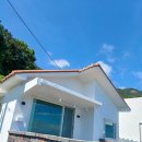 스테이 다옴 이미지