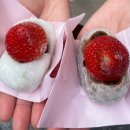 일본 도쿄 아사쿠사 신사 거리 딸기 모찌 맛집 은화당 내돈 내산 후기