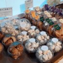 벨스타커피 티스토리
