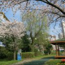 광신고등학교 이미지