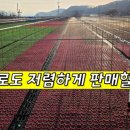 영호 농장 이미지