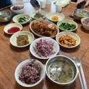 추자도나바론민박