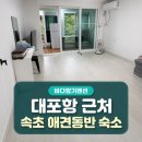 바다향기 | 속초펜션 바다향기 애견동반 후기｜대포항 근처 속초숙소