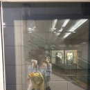 서울 서초구 양재역 꽃집 추천 blessed flower market 내돈내산 후기