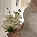 모먼트(Moment) | '원모먼트스냅(One Moment)본식 아이폰스냅 추천 후기