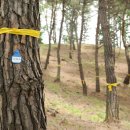 자일목장 이미지