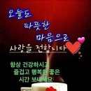 정(情) - 사랑과 이미지