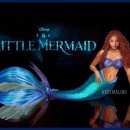 (주)채널엔터 이미지