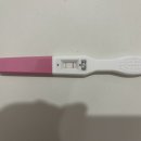 외 제 | [임신 준비] 자궁외임신 (배란유도제, 주사, 증상, 진단, 수술, 무증상) 후기 1편