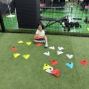 해피누리어린이집 이미지