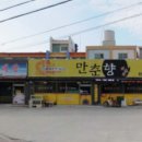 만춘향 티스토리