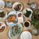 자연오리 이미지