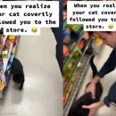 장보러마트 이미지