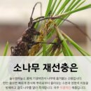 소나무돼지국밥 이미지