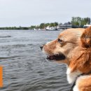 하트민박 이미지