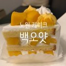 세조각케이크 | 노원 케이크 맛집 백오얏, 분위기 좋은 디저트 카페 망고 조각 케이크 포장 후기
